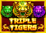 Triple Tigers - pragmaticSLots - Rtp BANTOGEL